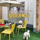 보미네옥상 이미지