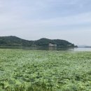 정관온천 주식회사 네이버블로그