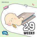 주말교육-네임택 달고 세계로 | [주간 일기] 주 4일 약속 있는 임산부의 일주일 (9/22~9/28)