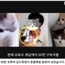 갑수농장 이미지