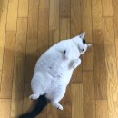 범준농장 이미지