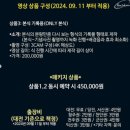 4534 | 대전 본식 스냅,DVD 총정리 : 14개 업체 비교