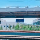 청천지구대 | 임신일기 : 35주차 임산부의 일상기록 (+포유문 정기검진)
