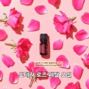 민서농장 | [도테라 코리아 11월 프로모션] &#39;오일의 여왕&#39; 도테라 로즈 오일을 15% 할인으로 만날 기회! (전 제품...