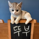 성심요양원식당 네이버블로그