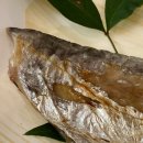 수상한참치.회 이미지