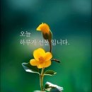 수원농수산물도매시장 이미지