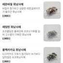 스윗번트