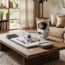 재단법인 한국기원 | 바둑 AI 로봇 센스 고 후기 및 최종 체감가 분석