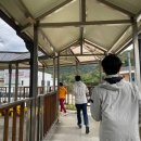 백담관광정보센터 이미지