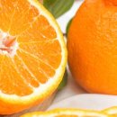 땡큐베리팜 이미지