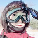 나인쓰리 이미지