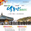 힐링로드 한국일보