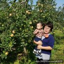 낭산농장 이미지