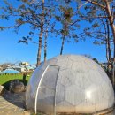 네이쳐펜션3 이미지