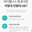 웰리스건강