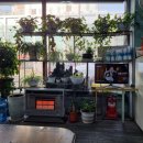 장안세차장 이미지