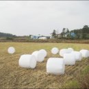 기훈농장 이미지