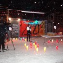 새바라기 이미지