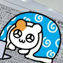 이레 | 4년만의 복귀,,,, 안농