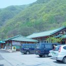 원조파주골순두부집 이미지