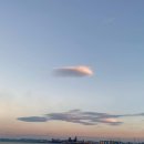 뚱보집 부산양대창 하양점 이미지