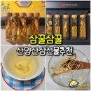 7년근 무농약 산양삼 선물 추천 삼꿀삼꿀 산삼 대표브랜드 다온
