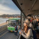 동해안자전거도로4(서) | 버스타고 가기 좋은 국내여행지 추천 및 뚜벅이 여행 완벽 가이드