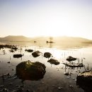 호수의아침 이미지