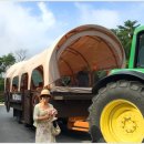 영진목장 이미지