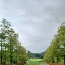 영동 일라이트CC | 충북 영동 일라이트CC 힐링 골프 하기 좋은 1부 첫티 라운딩 후기