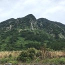 장수해장국&해물구이 이미지