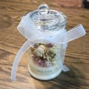 메일리데이 이미지