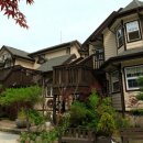 터 애견펜션 이미지