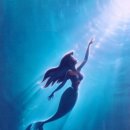 인어공주 이미지