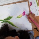 연필스케치와 꽃그림 이미지