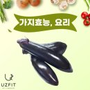 마산식품 티스토리