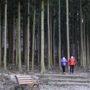 숲속농원민박 이미지