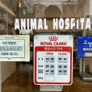 신원동물메디컬센터 이미지