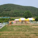 퍼피 앤 퍼피(PUPPY & PUPPY) 이미지