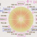 윤달 주기 이미지