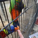 홍성농장 이미지