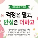 대청산림개발