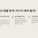 꿀부동산중개사무소 이미지