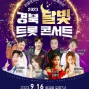 물결치는 달빛 ( 이미지