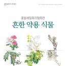 원광대학교전주한방병원 이미지