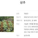 남창원농협경제사업소 이미지