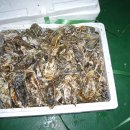 가은에정원 이미지