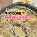 일동해물 | 이틀 연속 먹은 양주 옥정동 국밥 맛집, 일동해물국밥 옥정직영점 방문 후기(배달 가능)