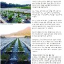수생태복원(주) - 1466 | 수생태복원(주)